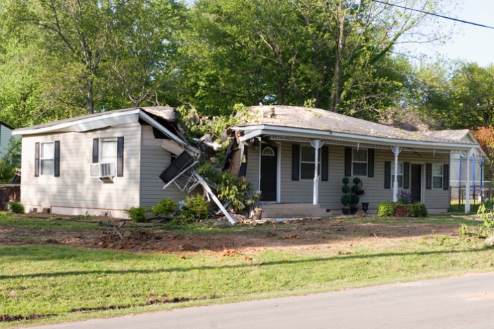 Fallen Tree Damage Restoration by Crisis Management Restoration Services