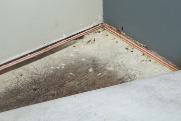 Flooded Carpet Dry Out in New Eagle