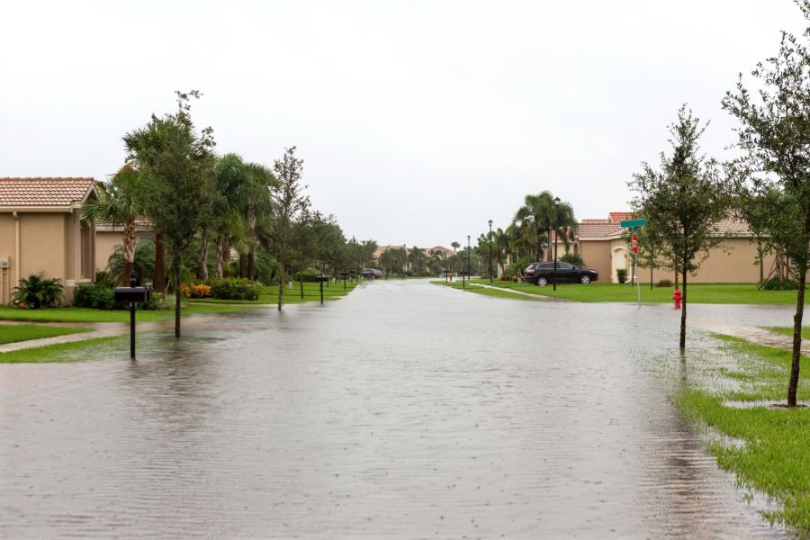Flood Damage Restoration by Crisis Management Restoration Services